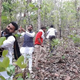 A group of youth from Hamirpur, Uttar Pradesh, protested in the Buxwaha forest by tying threads to trees. Apart from the online campaigns, there have been local on-ground protests too.